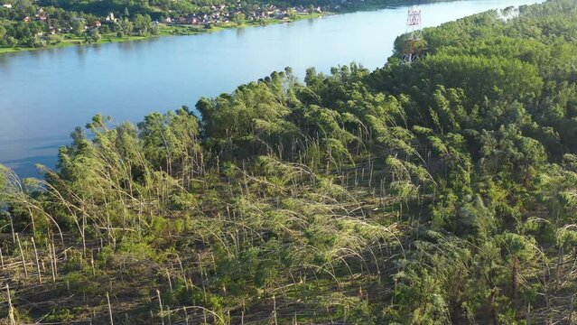 Aerial shot of devastated forest landscape after supercell storm in summer, drone pov shot of environmental damage scenery