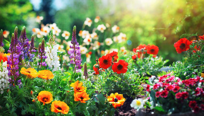 Beautiful spring flowers in the garden on a sunny day. Nature background - 774991301