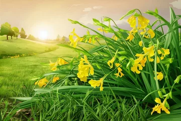 Foto op Canvas Spring summer natural background.spring meadow with yellow flowers, Ai Generated. © Nahid