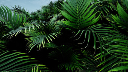 3D Render Palm Tree Nature Landscape