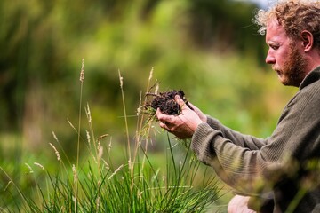 holding soil in hand. study soil health. soil fungi storing carbon through carbon sequestration on a farm, receiving carbon credits