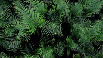 3D Render Palm Tree Nature Landscape