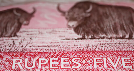 Closeup of 5 Rupees lettering with yaks on Nepal banknote currency 2002 series (focus on center)
