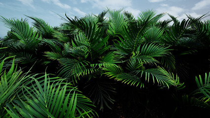 Fototapeta na wymiar 3D Render Palm Tree Nature Landscape