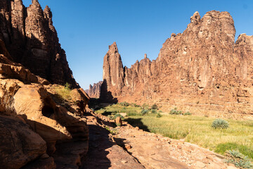 Fototapeta premium Wadi Al Disah, a famous stunning canyon and oasis near Tabuk in Saudi Arabia in the middle east