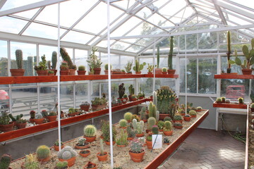 greenhouse with plants - obrazy, fototapety, plakaty