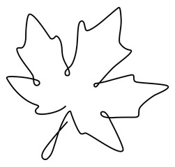 Simple maple plant leaf