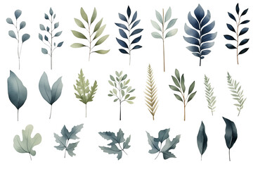 Set collection illustration watercolor green leaves and branches on transparent background. Botanical Illustration elegant watercolor illustration , green tropical leaves