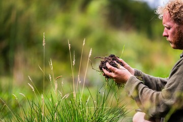holding soil in hand. study soil health. soil fungi storing carbon through carbon sequestration on...