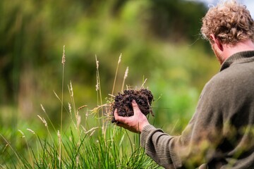 regenerative organic farmer, taking soil samples and looking at plant growth in a farm. practicing sustainable agriculture in a field