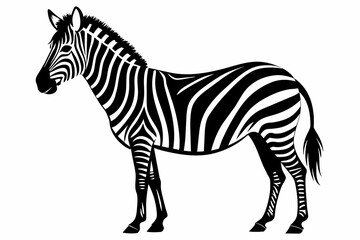 Fototapeta na wymiar simple zebra silhouette black on white background