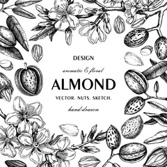 Almond nut frame design.Blooming branches, nuts, flower sketches. Hand-drawn vector illustration. Vintage botanical background. NOT AI generated - 775010709