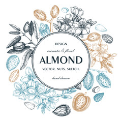 Almond nut wreath design.Blooming branches, nuts, flower sketches. Hand-drawn vector illustration. Botanical background. NOT AI generated - 775010999