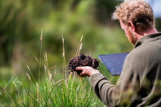 soil science student agriculture looking at a soil sample. girl on a farm looking at plant roots