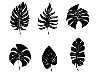 palm banana leaf silhouette vector. - obrazy, fototapety, plakaty