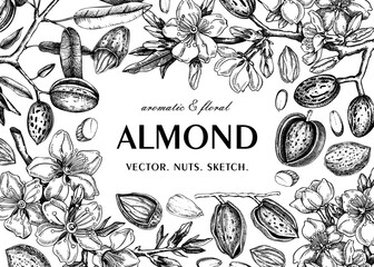 Almond frame design. Spring background. Blooming  branches, nuts, flower sketches. Healthy food hand-drawn illustration of almond nuts. NOT AI generated - 775014570
