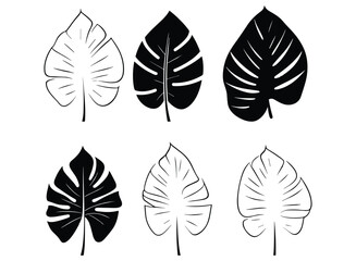 palm banana leaf silhouette vector.