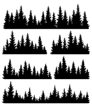 Set of fir trees silhouettes. Coniferous spruce horizontal background patterns, black evergreen woods illustration. Beautiful hand drawn panoramas of coniferous forest
