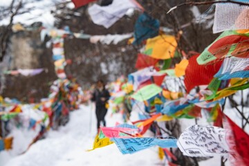 Fototapeta premium Young female hiker on a snow mountain Meili decorated with colorful flags in Yunnan, China