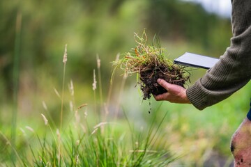 agronomiston a farm practicing agronomy holding soil, doing soil tests in her home laboratory....