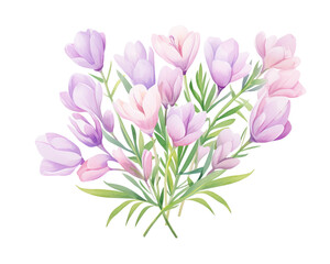 Obraz premium Freesias flowers remove background , flowers, watercolor, isolated white background
