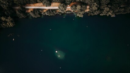 Aerial view of a highway road on the seashore covered in trees