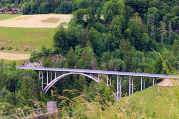 Fototapeta na wymiar Scenic shot of a metal bridge with trees in the background