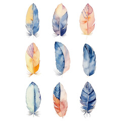 Group of feathers on Transparent Background