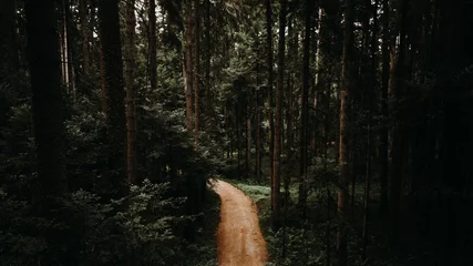 Fototapeten Waldweg Aerial of a trail surrounded by the tall green trees in the forest during the daytime  © Wirestock