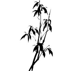 Watercolor vector of bamboo. Traditional chinese ink and wash painting.