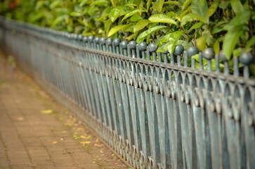 Small fence next to a sidewalk with green plants in the background