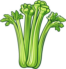 Celery, salad, vegetables