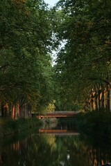Bridge on a reflecting river surrounded by green trees evening sunlight