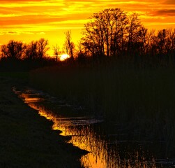 Fototapeta premium Silhouette shot of a tree line and a river with a beautiful sunset in the background