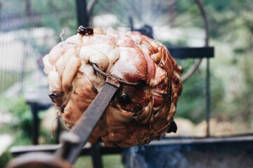Closeup shot of roasting meat on a spit with fire on the background.