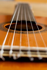 Vertical shot of a brown guitar on the blurry background