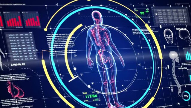 x ray animation video of body and bones with medical information displayed on holographic hud screen. Concepts of health science, medicine and technology, Video size 4K 16:9