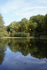 Fototapeta na wymiar Beautiful landscape of a lake with calm waters that reflect the trees and wild nature