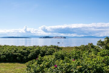 Beautiful view of Lake Balaton, Hungary with the green coast and clean blue sky reflecting in water
