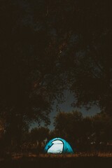 Vertical shot of a camping tent in the middle of the woods during evening
