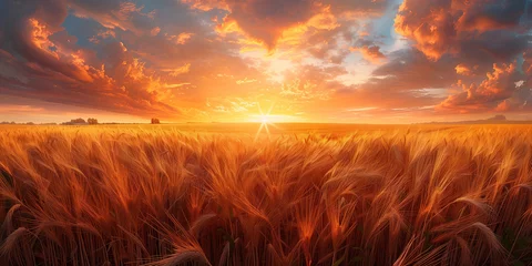 Schilderijen op glas Agricultural grain farm overlooking a wheat field © PHTASH