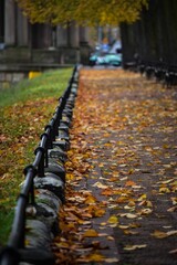 Walkway with fallen dry leaves in the park in Szczecin, Poland - obrazy, fototapety, plakaty
