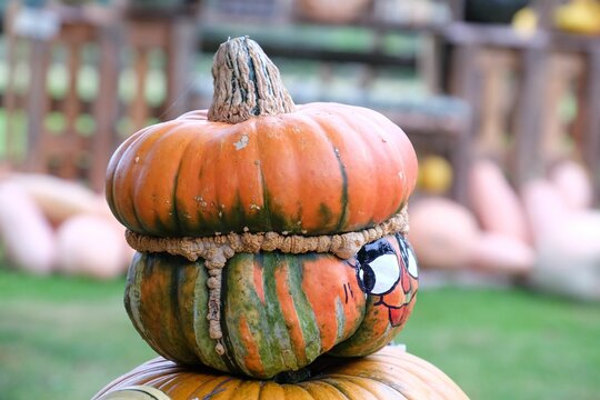 Closeup shot of a pumpkin man with a cartoon face against the isolated background