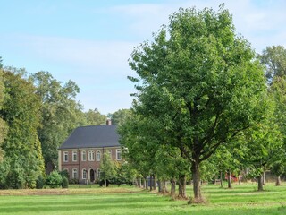 Beautiful view of the tall trees in the field near the building in Westphalia, Germany