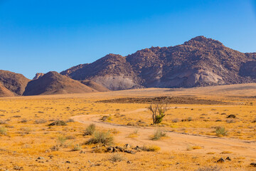 Arid landscape in the Richtersveld National Park