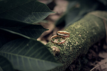 Elegant romantic wedding rings photo background