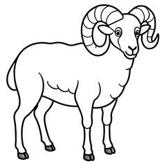 sheep illustration