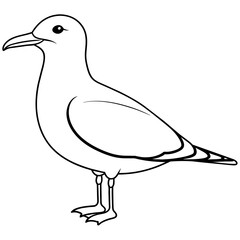 Obraz premium seagull