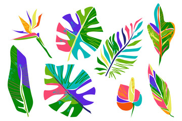 Abstract art tropical leaves and flowers. Monstera, palm, croton leaves, strelitzia and anthurium flower. Isolated set on white background. Colorful modern forms. Vector illustration. © Oksana_Skryp