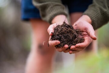 farmer collecting soil samples in a test tube in a field. Agronomist checking soil carbon and plant health on a farm